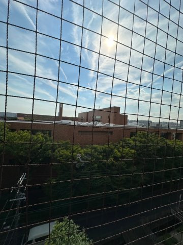 イーストフィールドの展望