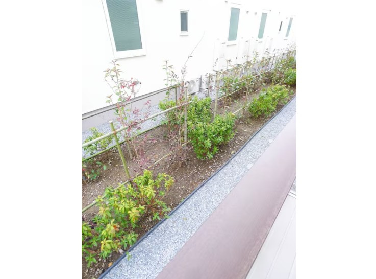 ノースコートの展望