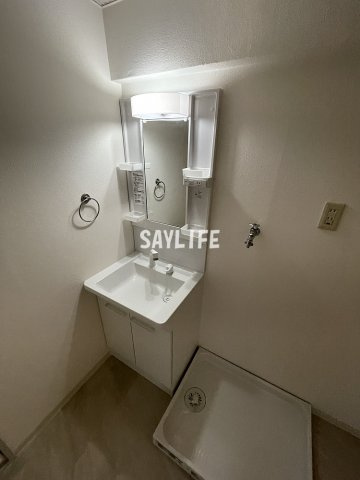 エリスハイム田中の洗面所