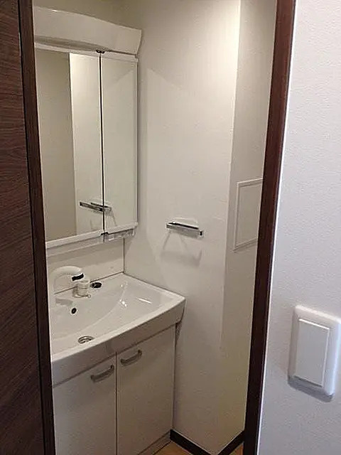 ジェノヴィア西大島グリーンヴェールの洗面所