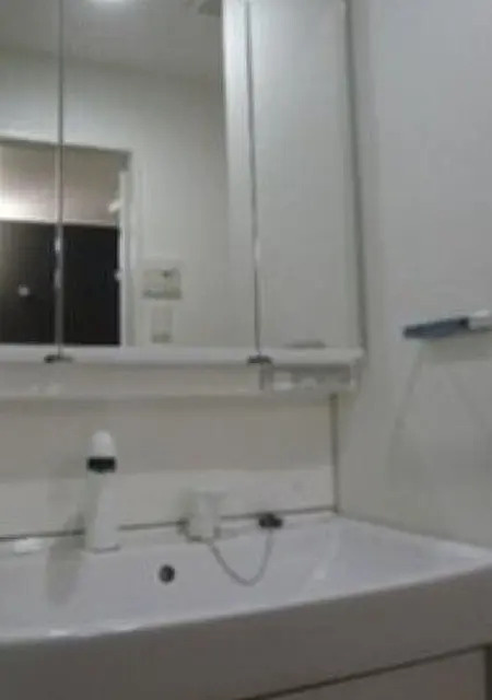 ジェノヴィア西大島グリーンヴェールの洗面所