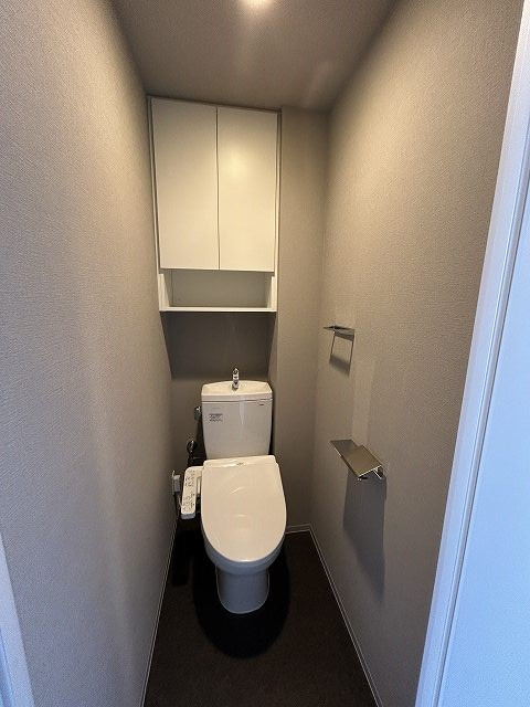 ブランシエスタ新丸子リバーフロントのトイレ