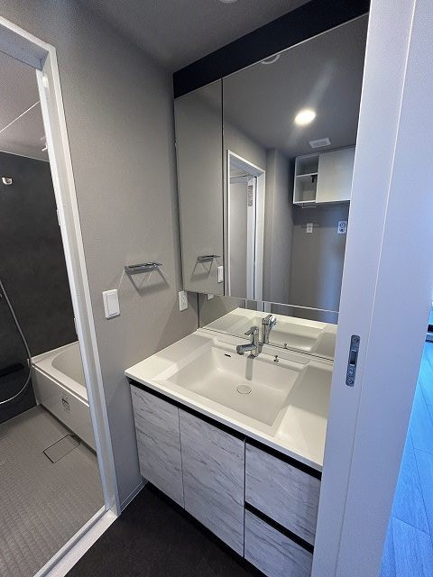 ブランシエスタ新丸子リバーフロントの洗面所