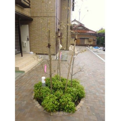 【その他】 | アンジュール