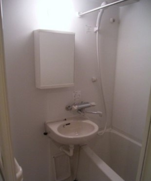 フェニックス高円寺伍番館の洗面所