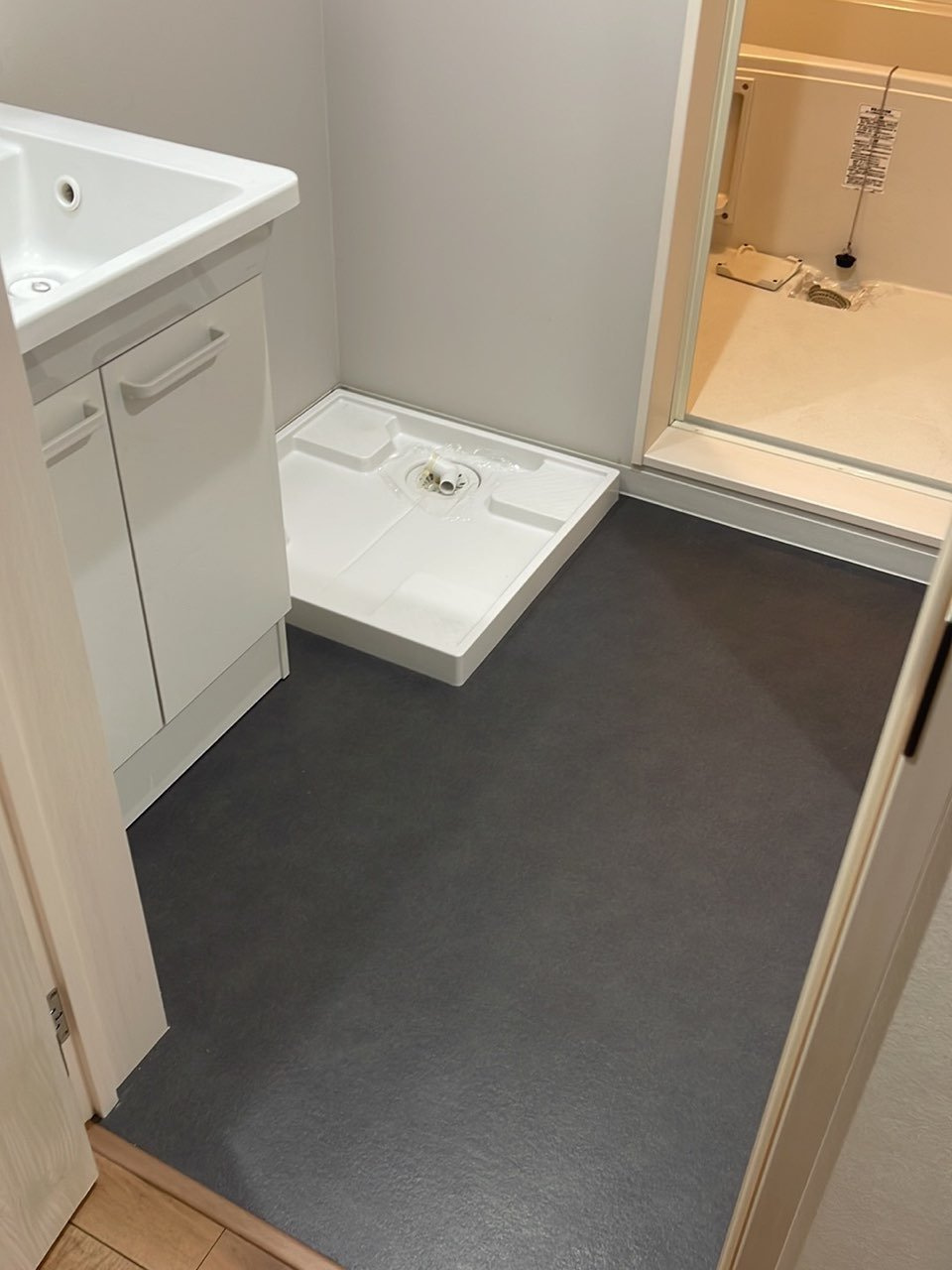 ピースフルパレス江戸川(ピースフルパレスエドガワ)の洗面所