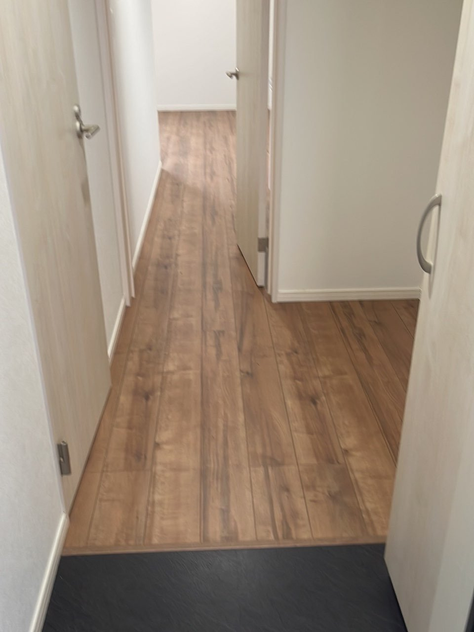 ピースフルパレス江戸川(ピースフルパレスエドガワ)の玄関