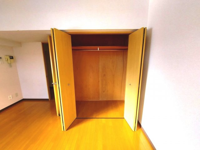 エクシード Ⅶの収納|イメージ（同建物内別部屋の写真です）