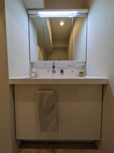 【独立洗面台】公社千里山田D住宅A-２棟 