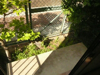 【バルコニー】 | ボヌールＴ＆Ｍ