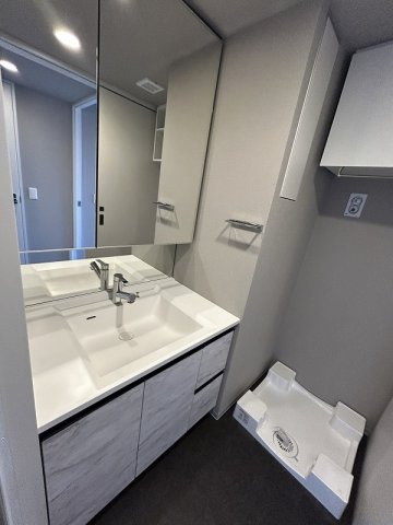 ブランシエスタ新丸子リバーフロントの洗面所