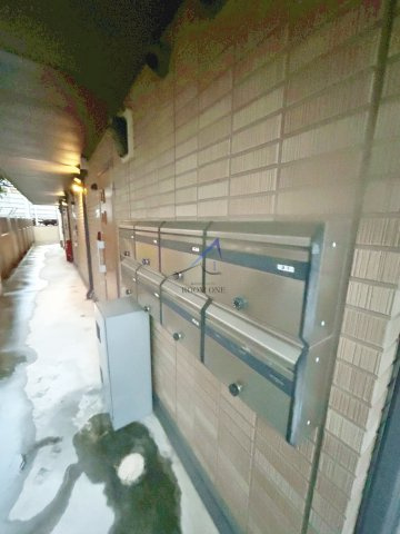 セレナ　アケボノ