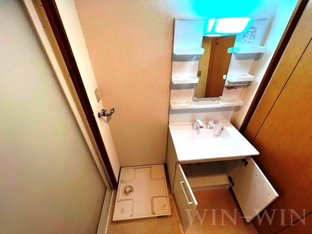 アネシスサイトウの洗面所