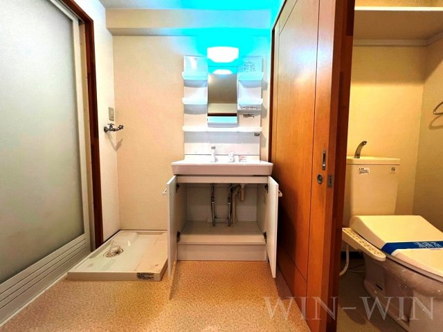 アネシスサイトウの洗面所