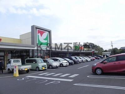 セントラルパークヒルズのその他|ヨークマートまで800m 