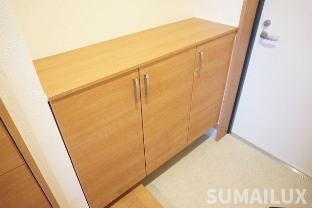 熊本市中央区渡鹿７丁目の賃貸マンションの玄関