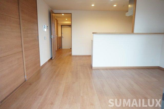 熊本市中央区渡鹿７丁目の賃貸マンションの居間・リビング