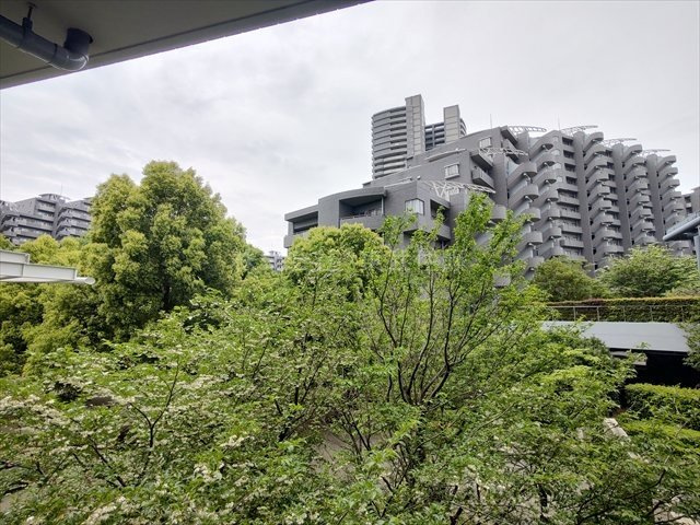 【展望】の画像