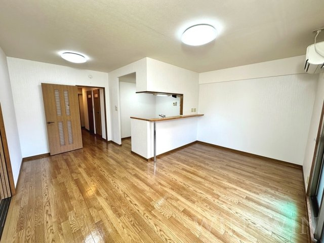 アンピレインのその他