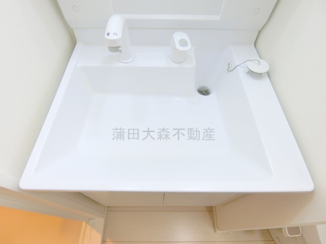 カーサパーチェ糀谷の洗面所