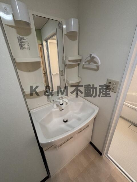 センターパーク新柏Ａ棟（Ｅ－２０７Ａ）の洗面所|脱衣スペースもあります