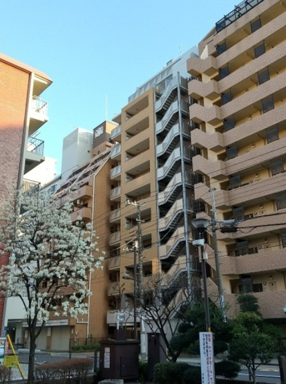 【外観】 | ネバーランド上野松が谷