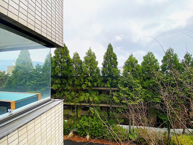 クリオ強羅一番館の展望