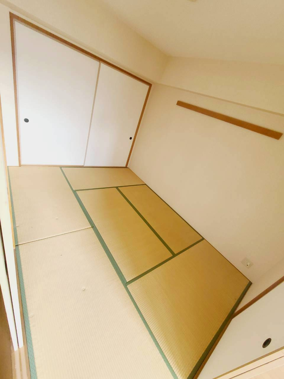 ヴェルドミールカミロクのその他