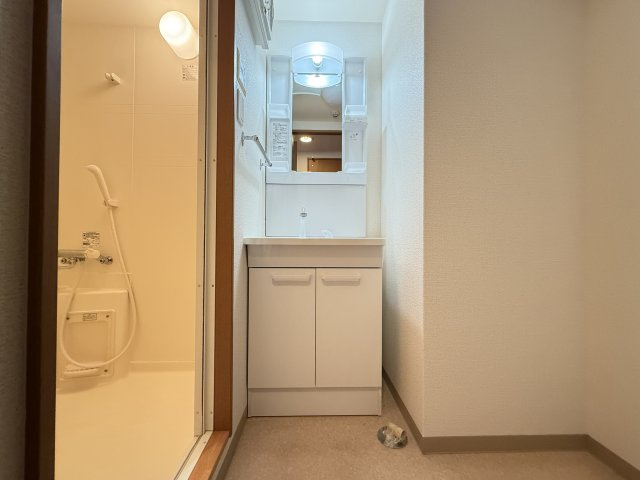 COCO北本町の独立洗面台