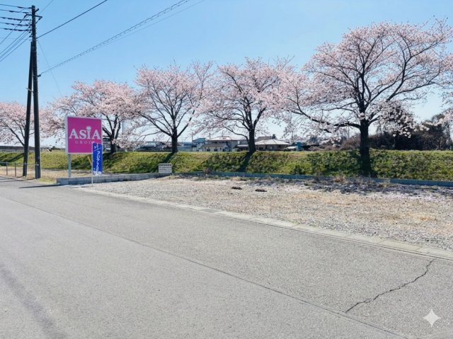 敷地面積６３坪　売地　川越市渋井のその他|敷地面積６３坪！建築条件なし売地！桜通り♪春を待つ楽しみを、一生の住まいに♪毎年、ご自宅がお花見の特等席になる贅沢♪
※桜はイメージ画像です