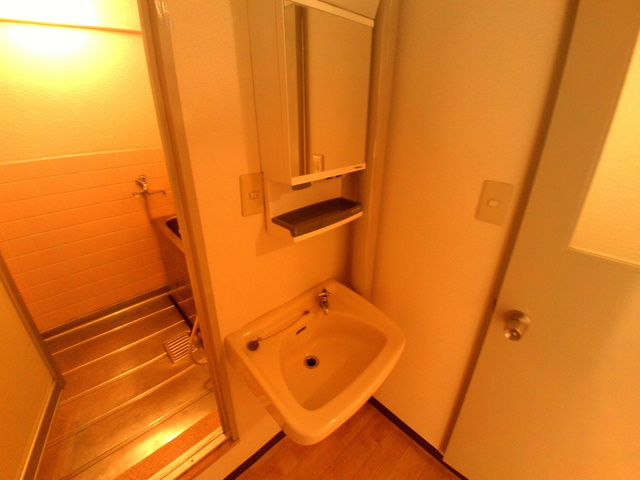 サムティ青木の洗面所