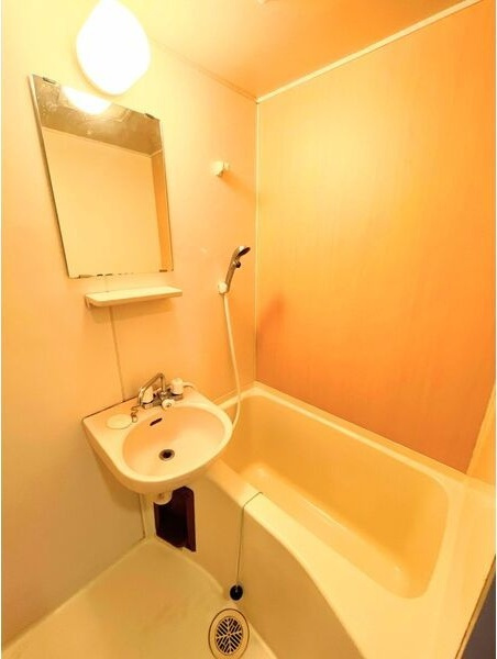 ブリリアンマンションの浴室