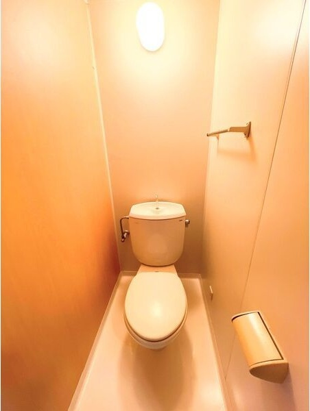 ブリリアンマンションのトイレ