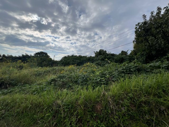 松橋町萩尾　売り土地の外観