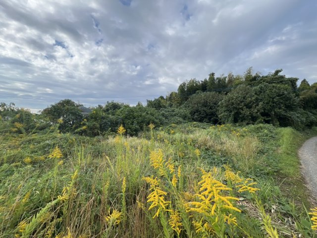 松橋町萩尾　売り土地の外観