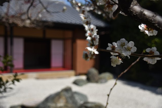 吉田神社近く 学者が愛した庭屋一如の平家の庭
