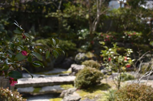 吉田神社近く 学者が愛した庭屋一如の平家の庭