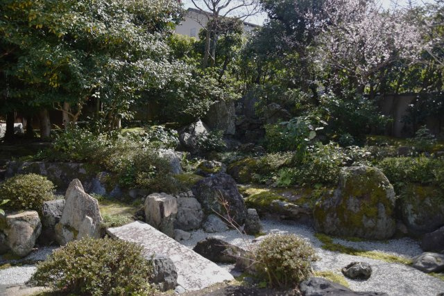 吉田神社近く 学者が愛した庭屋一如の平家の庭|立派な滝石組