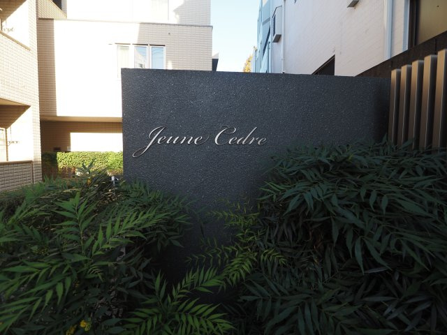 【その他】 | ジュヌセードルＢ | ジュヌセードルＢ