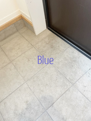 【玄関】 | アルフラットヒルズ | 同仕様