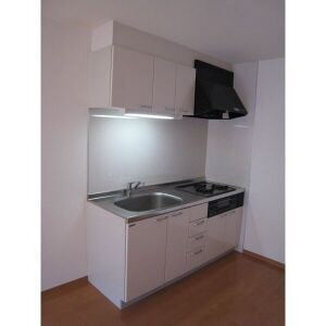 APT遠場のキッチン