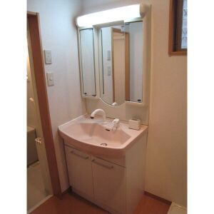 APT遠場の洗面所