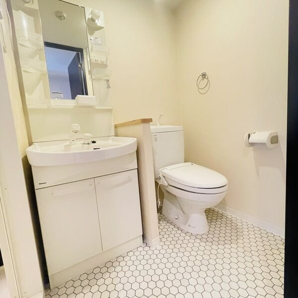 セイワソレイルコートの洗面所