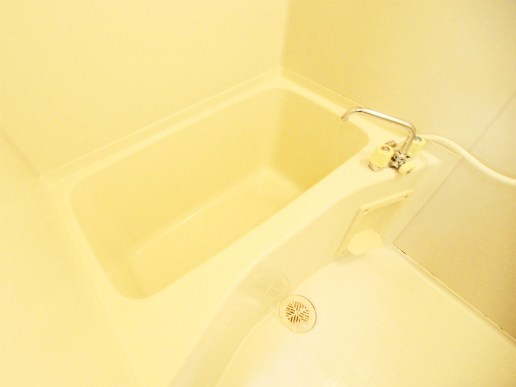 グランヴェルジェ中須Ⅱの浴室