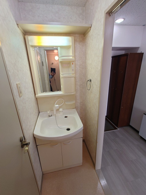 グランヴェルジェ中須Ⅱの洗面所