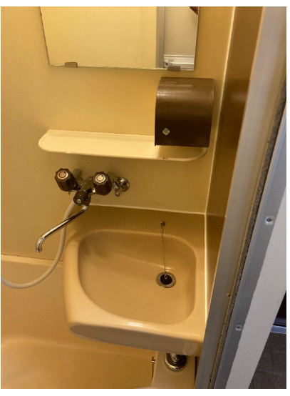 サットンプレイススズキの洗面所