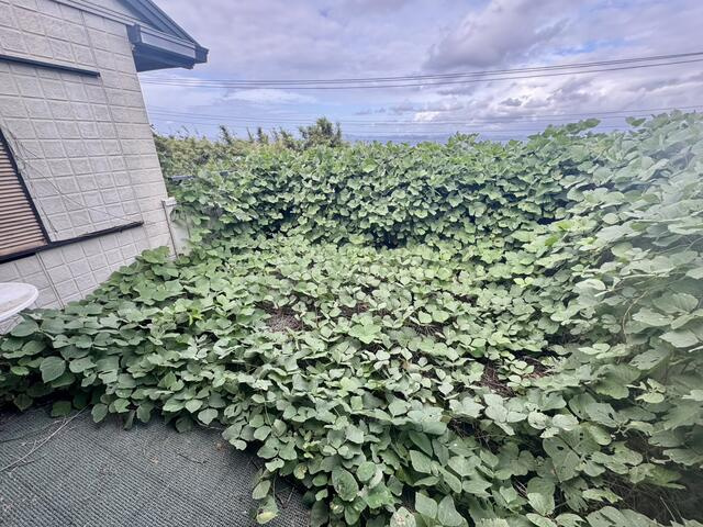 洲崎戸建ての展望