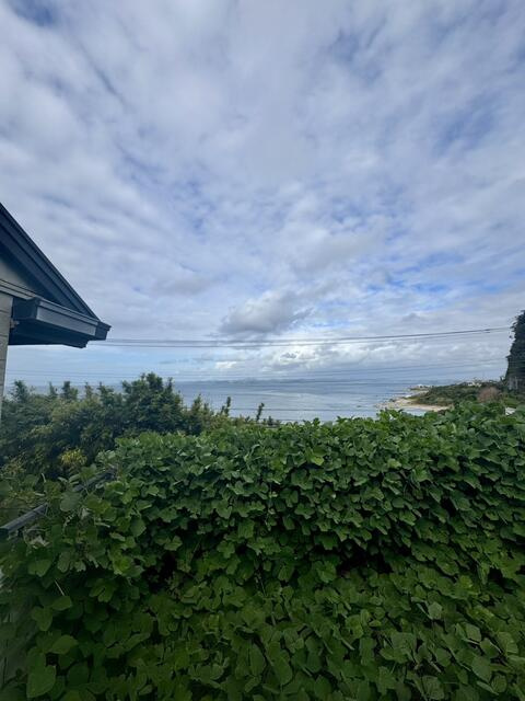 洲崎戸建ての展望