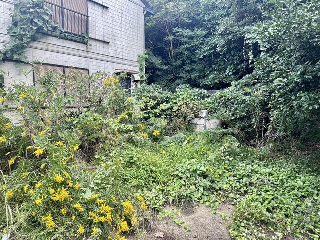 洲崎戸建てのその他