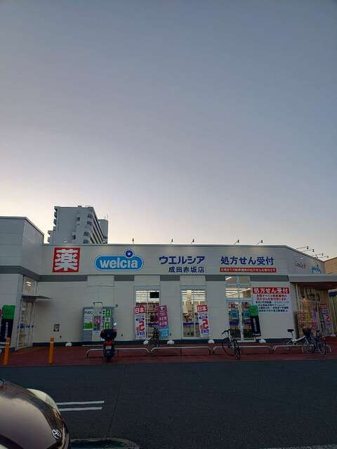 成田市玉造　第１３の周辺